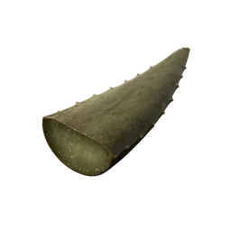 Aloe Leaf