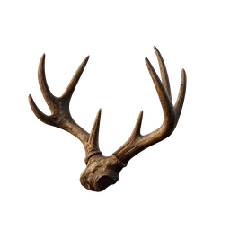 Antlers