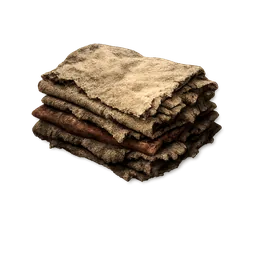 Cloth