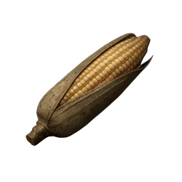 Corn Cob