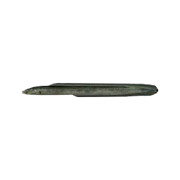 Eel