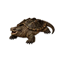 Snapping Turtle