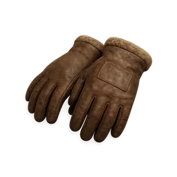 Fur-Lined Gloves