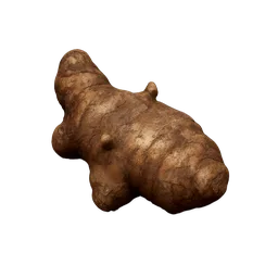 Hop Rhizome