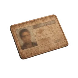Driver's License