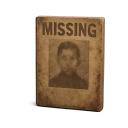 Missing Poster