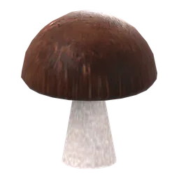 Porcini