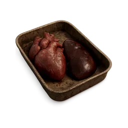 Heart & Liver