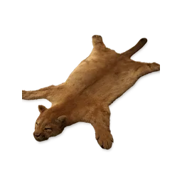 Prime Mountain Lion Pelt