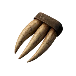 Canine Teeth