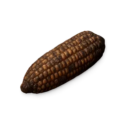 Roast Corn
