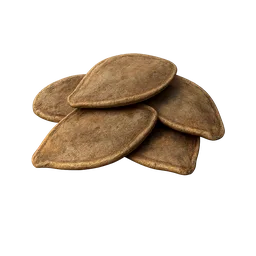 Pumpkin Seeds