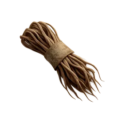 Sinew