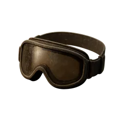 Snow Goggles