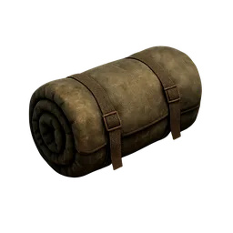 Sleeping Bag