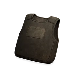 Soft Armor Insert (IIIA)