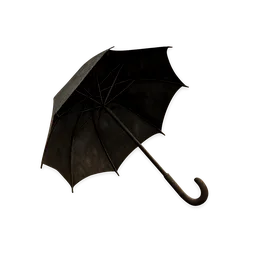 Broken Umbrella