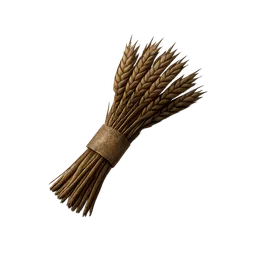 Wheat