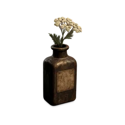 Yarrow